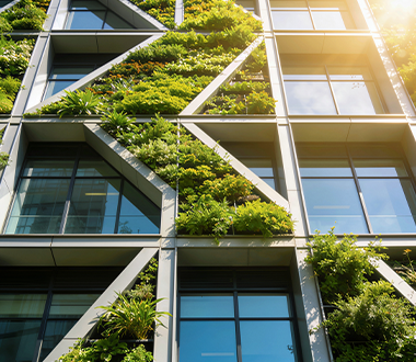 Biodiversity and business: How can companies contribute to biodiversity protection and why is it important?